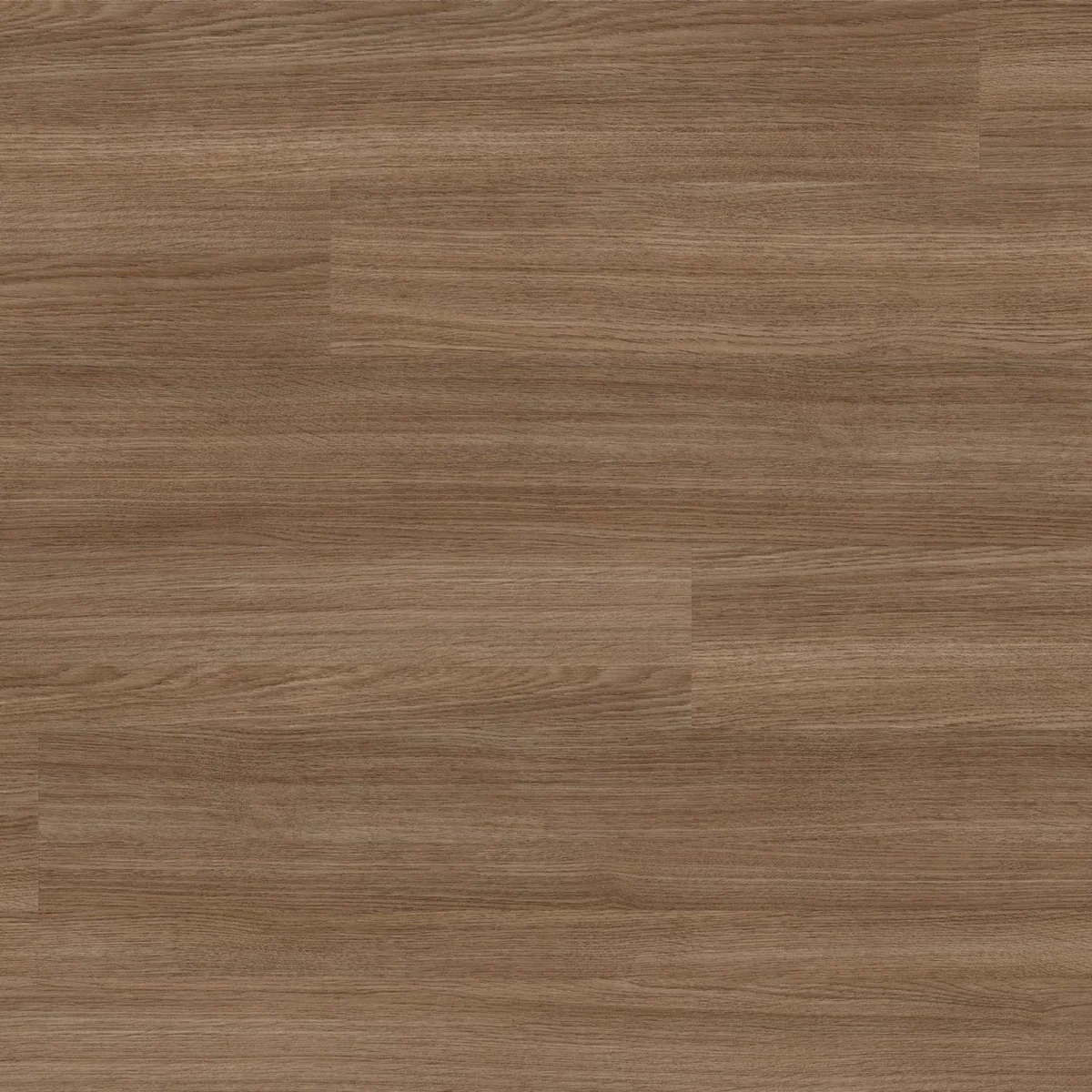 Aviva Fawn tölgy magasfényű  O146 ETP - laminált padló 8 mm