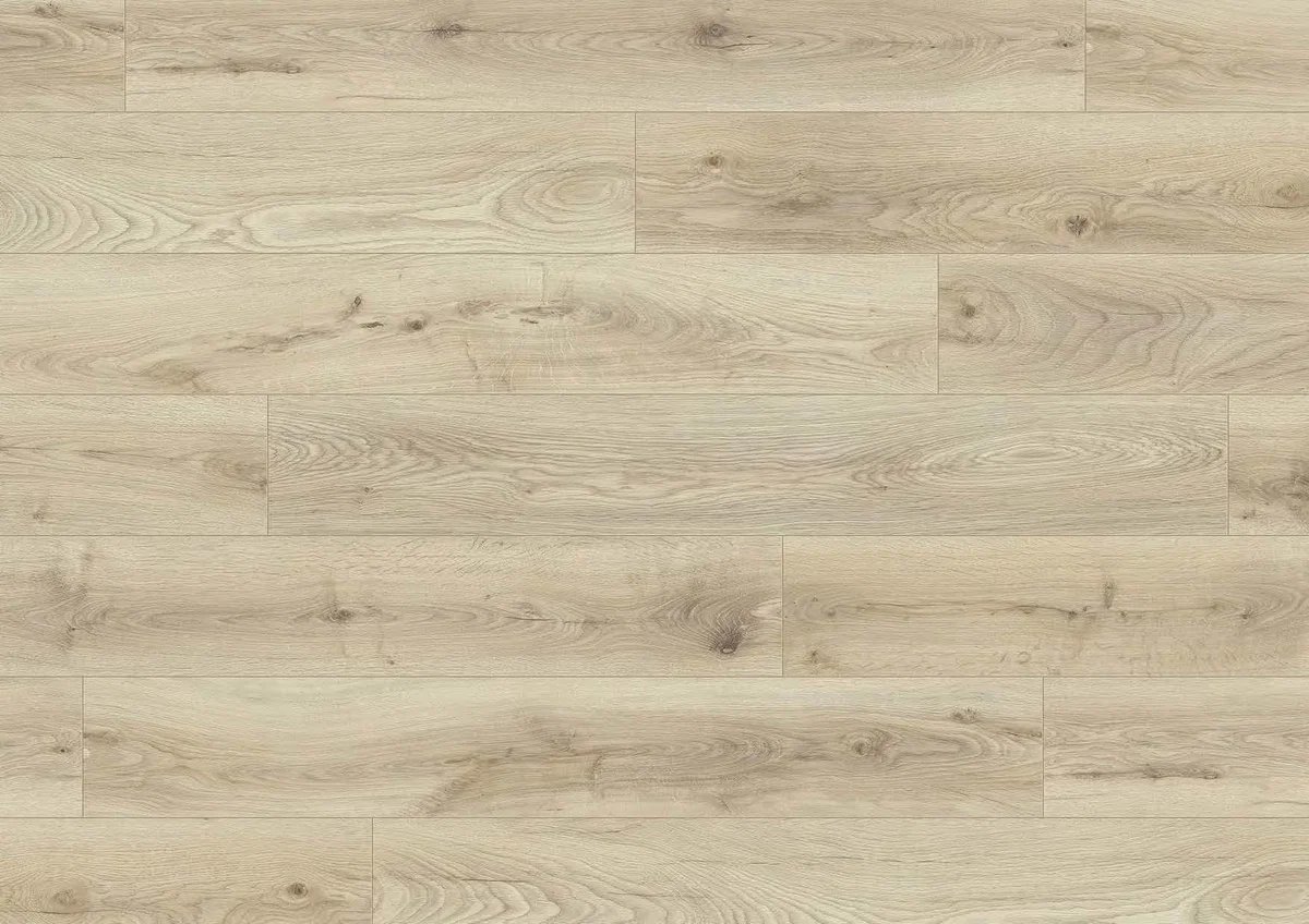 Dub Biscotti K453 OP - laminált padló 8 mm