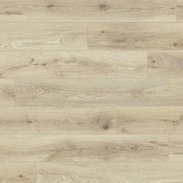 Dub Biscotti K453 OP - laminált padló 8 mm