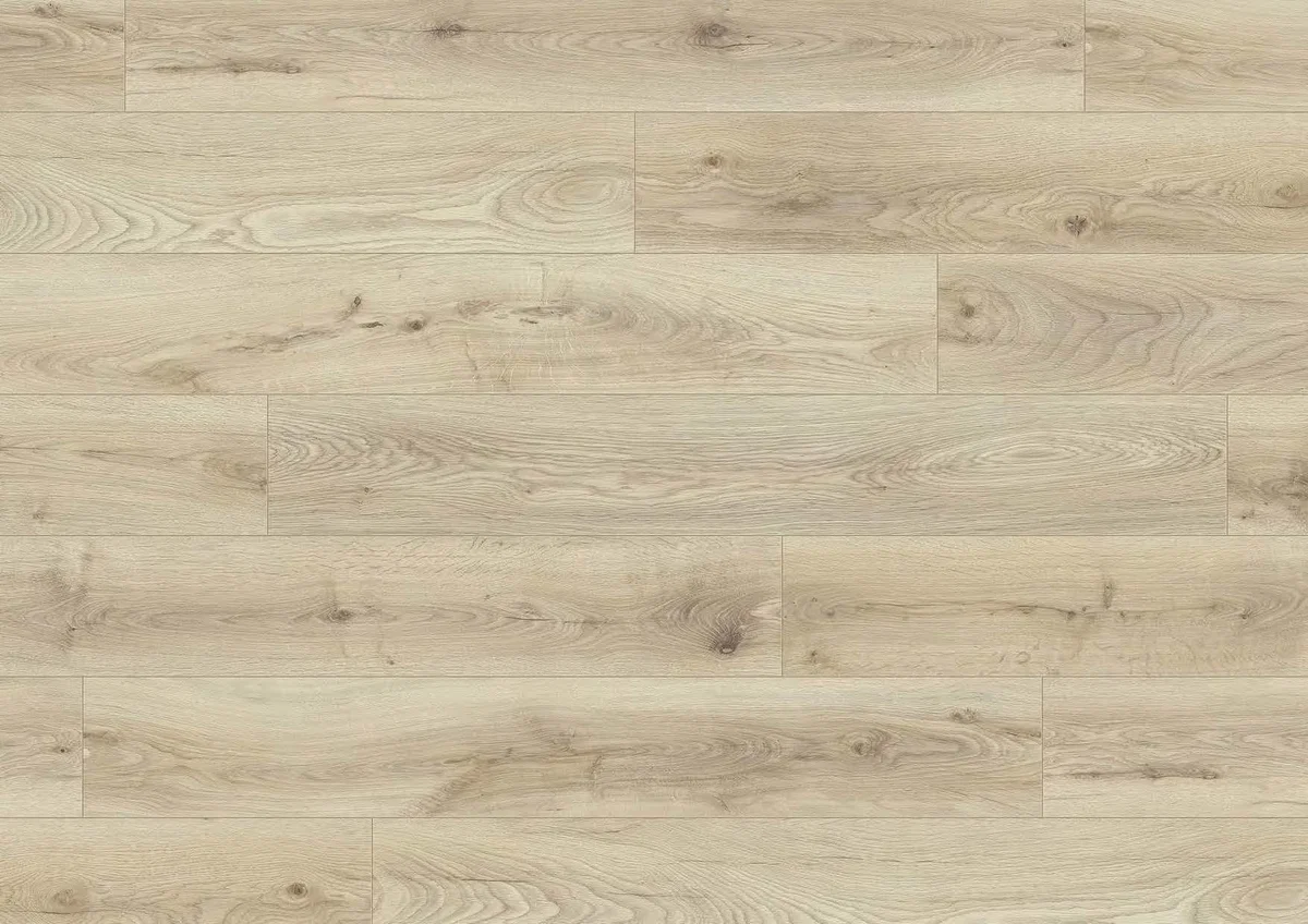 Dub Biscotti K453 OP - laminált padló 8 mm