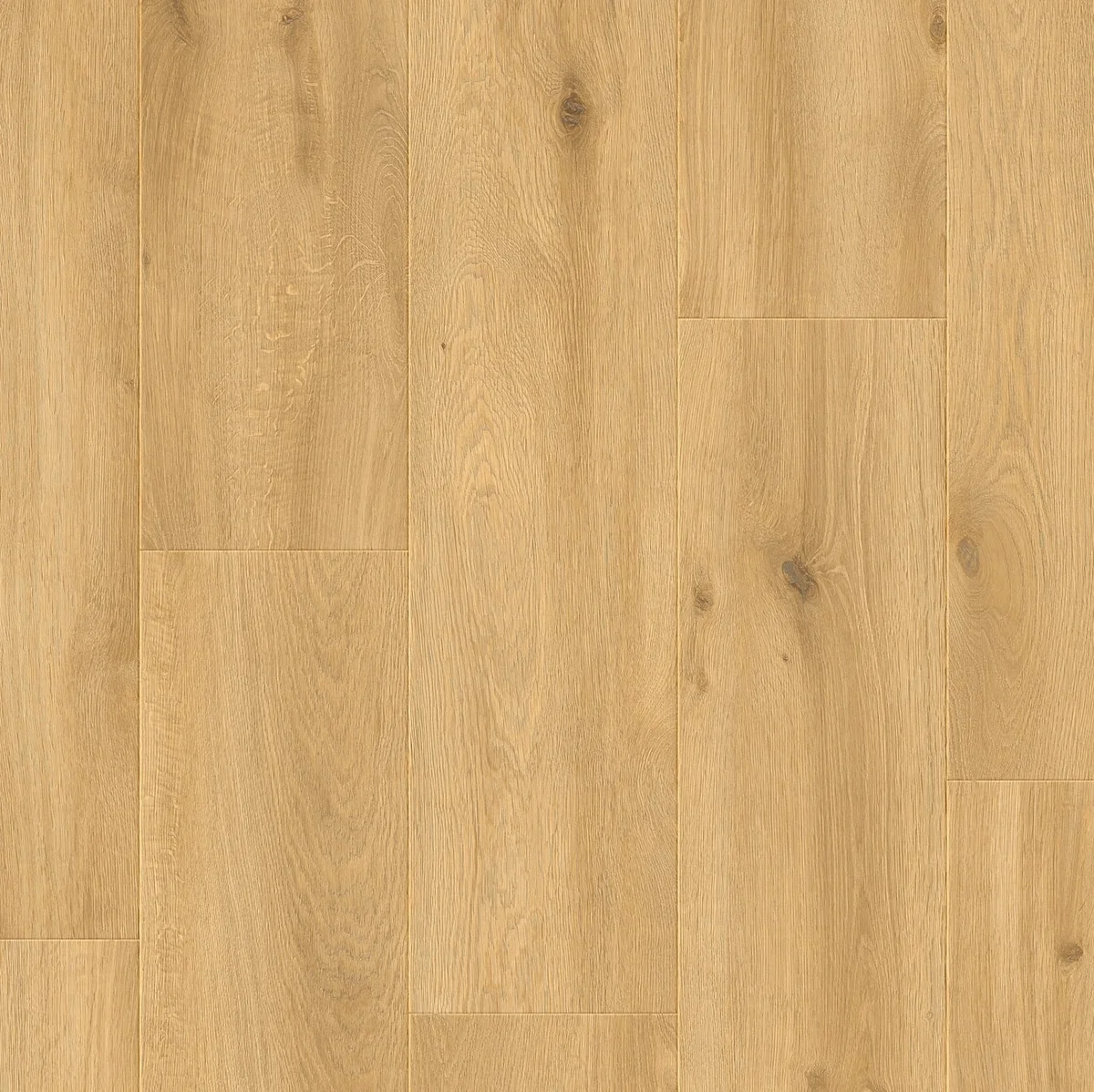 Dub Letný 482 JOY - laminált padló 8 mm