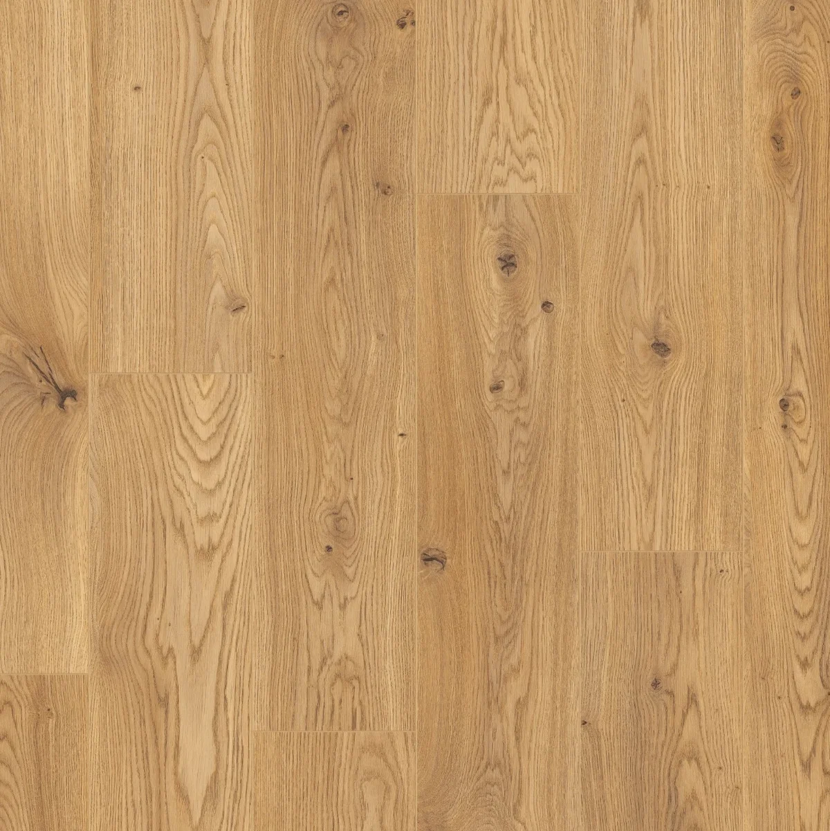 Dub medový 174 STY - laminált padló 8 mm