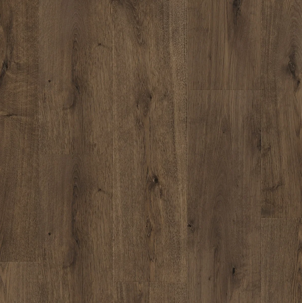 Dub Monteverde 612 JOY - laminált padló 8 mm