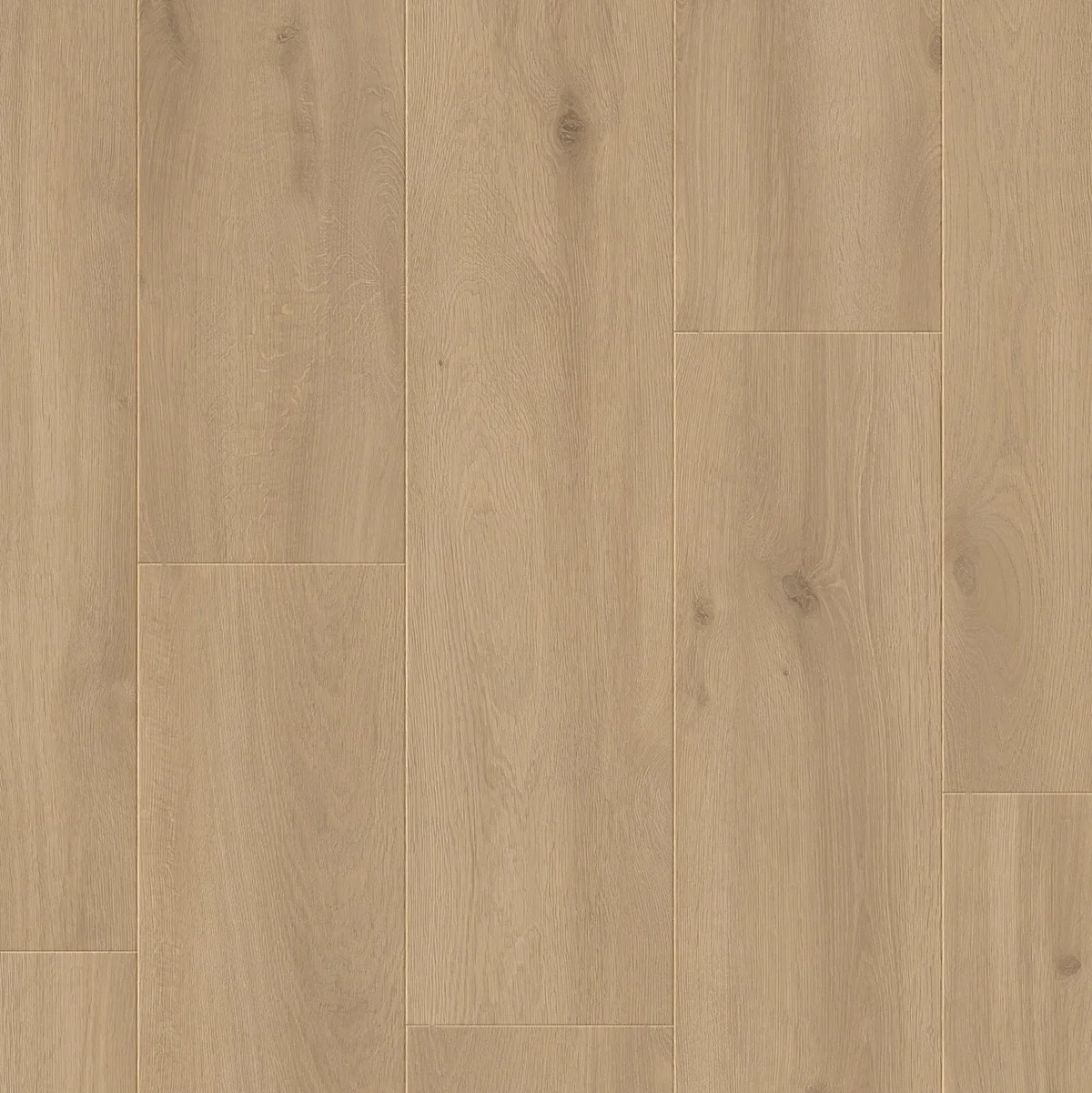 Dub Sultry 486 JOY - laminált padló 8 mm