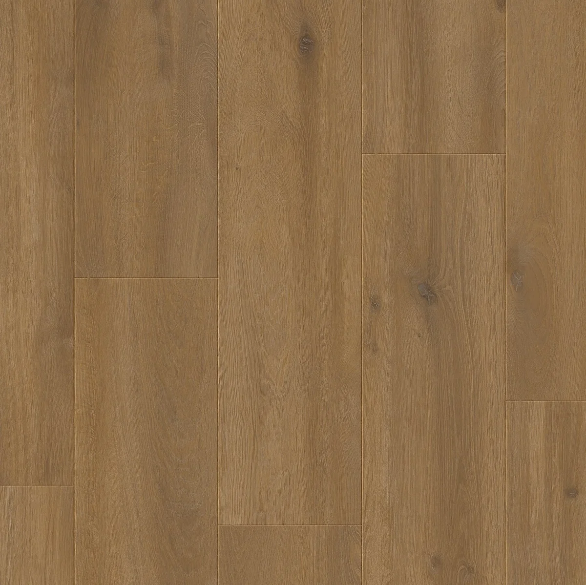 Dub Toridový 481 JOY - laminált padló 8 mm