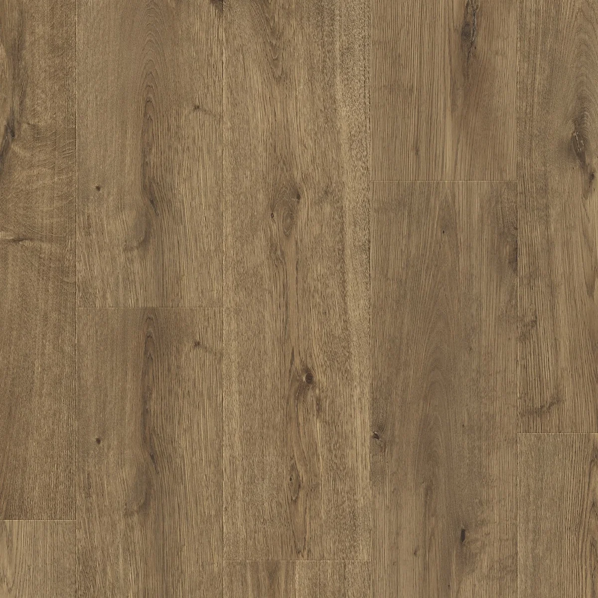 Dub Whistman 613 JOY - laminált padló 8 mm