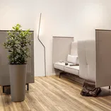 Tölgy Cordoba Noble K2242 AQ-NT - laminált padló 8 mm - 8